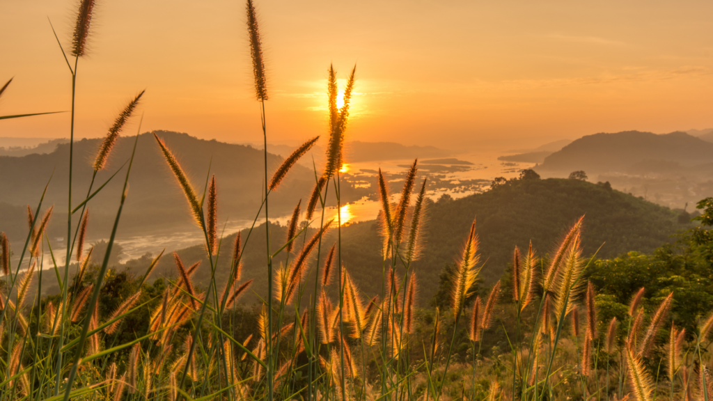 Bild för artikel: Veckobrev v.10 – Centralbankerna hamnar mellan hötapparna