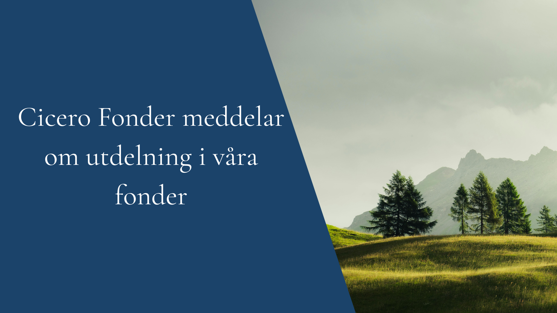 Cicero Fonder meddelar utdelning i våra utdelande andelsklasser