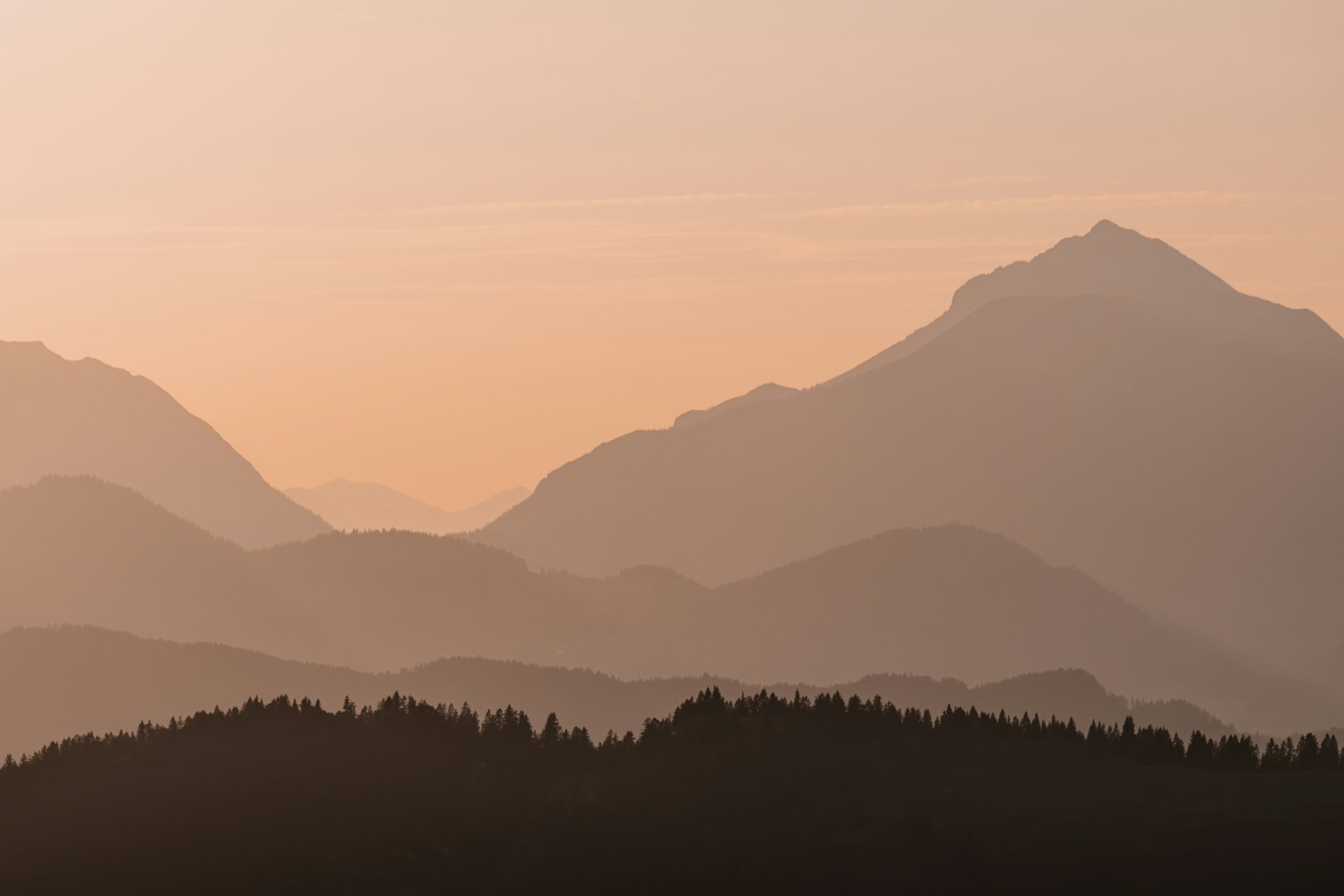 Veckobrev v.44 – FED sänker räntan men med hökaktig underton