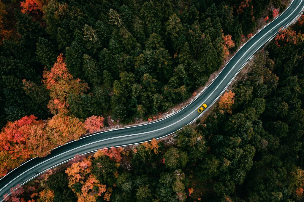 Bild för artikel: November – Marknadsoro präglade utvecklingen